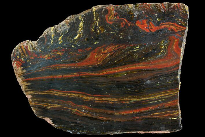 Polished Tiger Iron Stromatolite - ( Billion Years) #92951